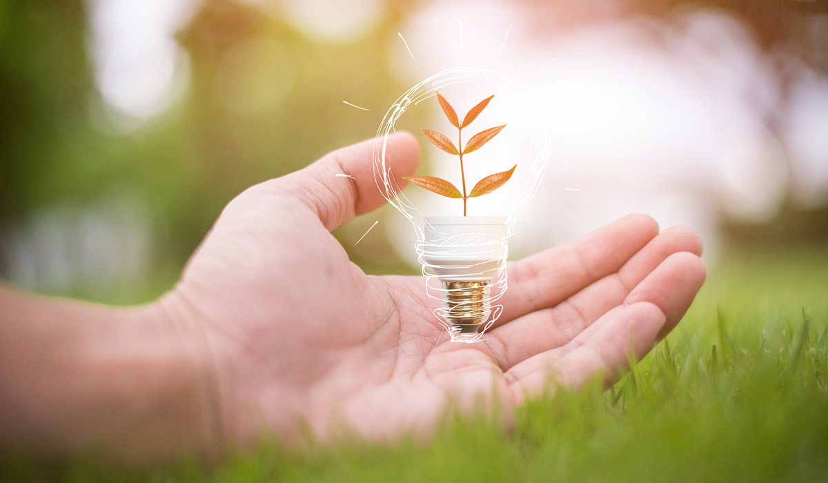 b05c3ca7b2499c906ea332c3604064eb_1764311733_41.jpg b05c3ca7b2499c906ea332c3604064eb_1764311733_41.jpg